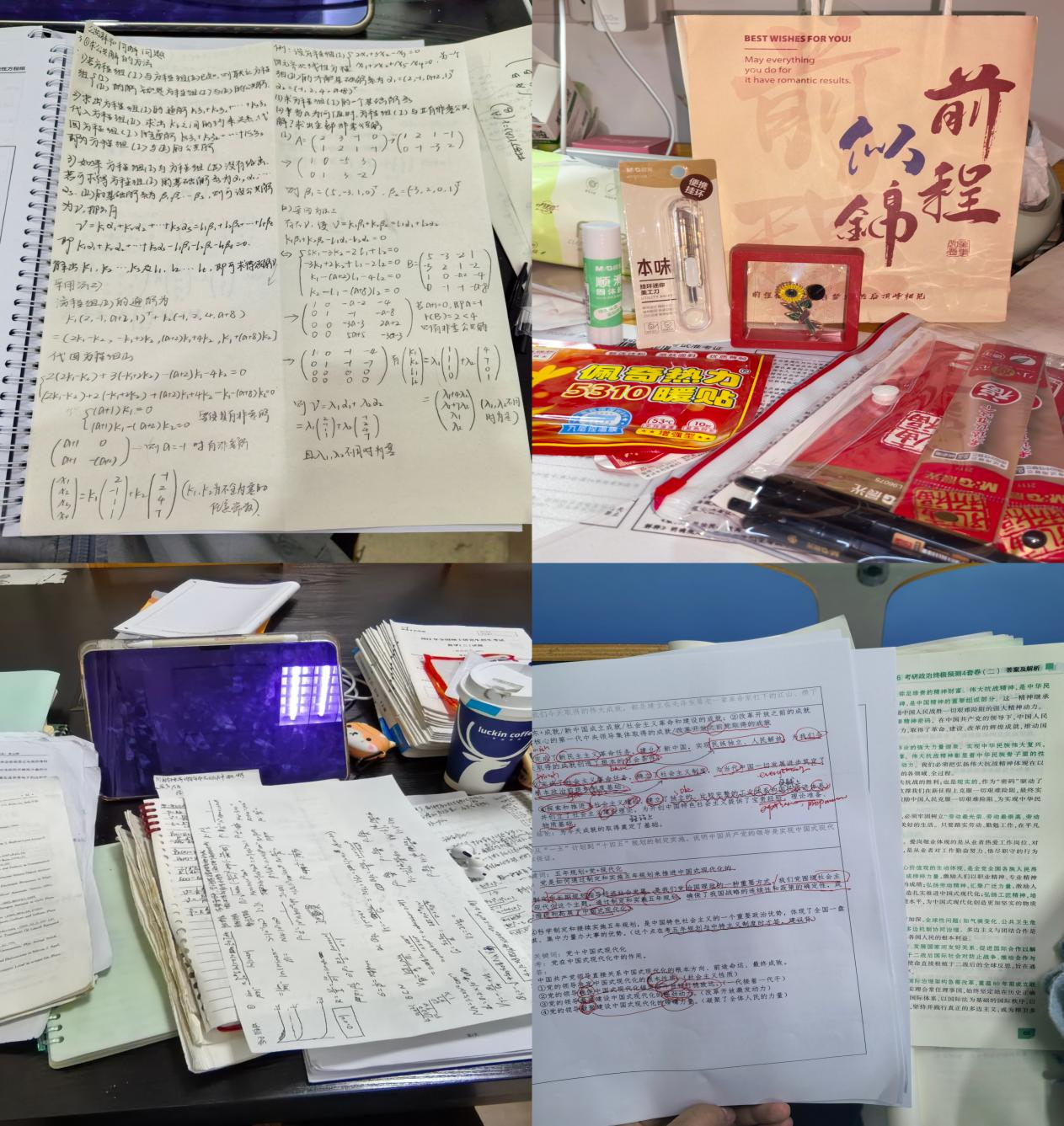 【2026届优秀毕业生典型——升学之星】